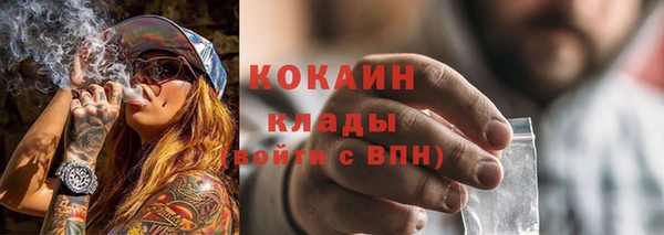 стаф Нея