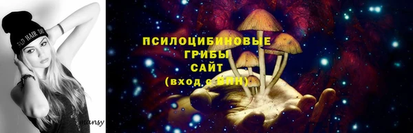 дживик Алексин