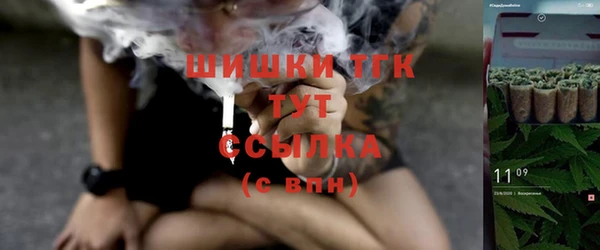 ECSTASY Алзамай